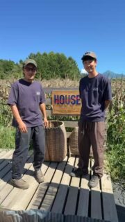 -推しもろこし総選挙 結果発表！-今回の“ハマラ推しもろこし総選挙”、なんと781名の方にご参加いただきました。ありがとうございます。焼き・蒸し・冷やしの中から、みなさまのお気に入りを選んでいただき、インスタへコメントをくださった方から抽選でハマラ商品を送っちゃいますというイベントでした。動画の中で結果発表をしてますので是非ご覧ください。・何もろこしが1番人気だったのか？・当選者は３名！#ハマラノーエン#ハマラハウス#八ヶ岳生とうもろこし#ハマラカフェ#八ヶ岳カフェ