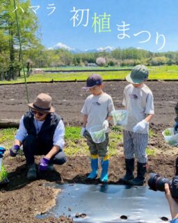 【募集:ハマラノーエン初植まつり 2026】ハマラノーエンでは、GWに「初植まつり2026」を開催します。とうもろこしの植え込み開始を祝いながら、フリマ形式で一緒にイベントを盛り上げてくれる方を募集します。■開催概要・日程:2026年5月3日(日)・5月4日(月)・時間:10:00~15:00・場所:ハマラハウス(長野県茅野市)・来場予想:約400人■イベント内容・とうもろこし苗の植え込み体験・野菜苗や花苗の販売・コーンスープ、ドレッシング等の販売・収穫体験・八ヶ岳生とうもろこし配送の店頭特別受付■募集内容・物販:ハンドメイド、クラフト、雑貨、古着など・飲食:フード、スイーツ、ドリンク、キッチンカーなど・体験:誰でも楽しめるワークショップ■応募・お問い合わせ詳細をご案内しますので、DM またはプロフィール欄のリンクよりご連絡ください。定員に達し次第、締め切りとさせていただきます。⠀#ハマラノーエン#初植まつり2026#ゴールデンウィーク#八ヶ岳イベント#出店者募集