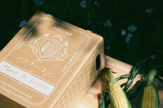 【お中元ギフト】八ヶ岳生とうもろこしで囲む〜お盆のひととき〜ハマラノーエンより大切なひとに想いを届けるお手伝い。一年で一番甘みが満ちる季節、お盆の食卓へお届けする八ヶ岳生とうもろこしを数量限定で、ご予約受付いたします。毎年、お盆シーズンは大変多くのご注文をいただきありがとうございます。「お盆に帰ってくる孫に食べさせてあげたくて」そんなお声をいただくたび、このとうもろこしが誰かの時間に寄り添っていることを感じます。その一方で、お盆期間中は注文が集中するため通販は早々に完売してしまうことも多く、心苦しく思っておりました。今年は、そんな「大切な家族の集まるお盆に届けたい」その声にお応えし、事前予約枠をご用意しました。より多くの方にお届けできるよう準備を整えております。八ヶ岳生とうもろこしが、大切なひとと会うきっかけになりますように。そして、先行予約ではご用意のなかった30本セットが新たに登場いたしました。お盆の家族団らんに。おじいちゃんからお孫さんまで三世代でたっぷりお楽しみいただけます。夏に感謝の気持ちを添えて、大切なひとと、大事なひとときを。◾️予約受付スタート　2026年4月20日（月）10時#ハマラノーエン#八ヶ岳生とうもろこし#お中元ギフト#お盆ギフト#夏ギフト