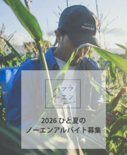 -2026 ひと夏のアルバイト募集-今年もわたしたちと一緒に7月~9月までの短期でハマラノーエンのお手伝いをしてくださる方(短期アルバイト)を募集します。────────────①とうもろこしの収穫、検品作業(8名程度)* 時間:AM4:00〜* 早朝手当あり②とうもろこしの検品、出荷作業(10名程度)時間:AM7:00~12:00(延長の可能性あり)③カフェ/屋台(飲食販売)(6名程度)* 時間:AM7:00〜15:00 * 飲食店での勤務経験がある方歓迎④店頭カウンター(とうもろこし、委託商品販売)(3名程度)* 時間:AM7:00~15:00* 販売や接客経験がある方歓迎────────────農業やハマラノーエンに興味があり、この期間少しでも働いてみたいという方は是非こちらのメール (hamarawork@gmail.com)に、以下の項目を入力の上お気軽にご連絡下さい。────────────⚫︎お名前(ふりがな)⚫︎年齢⚫︎ご住所(市町村まででOK)⚫︎電話番号⚫︎ご希望の職種(①②③④の番号でOK、複数可)⚫︎勤務可能な期間・曜日・時間帯(週3日以上の方優先)⚫︎その他(質問や自己紹介などあればご自由に)────────────ハマラノーエンのひと夏を一緒に楽しく駆け抜けてくれる方、ぜひお気軽にご連絡ください!採用連絡窓口 中山────────────#ハマラノーエン#ハマラハウス#農業アルバイト#八ヶ岳アルバイト#短期アルバイト募集中