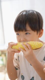 \メロンより甘い秘密は!?/ハマラノーエンの八ヶ岳生とうもろこしは糖度20度前後その秘密は3つ!□ ① 標高の高さ└ 標高約1200mの環境は寒暖差が大きい! それが甘さを育みます□ ② 収穫時期└ 計画的に最も甘い3日間に収穫 植える時期と標高差を計算しています□ ③ 一番果└ 一番最初についた実が一番甘いため 販売するのは一番果のみ! ◼︎八ヶ岳生とうもろこし直売所 ハマラハウス2026年7月18日(土)朝8:30 OPENまだまだ朝晩の涼しさを感じる八ヶ岳の麓で美味しい一日を過ごすのはいかがですか?皆さんの好きなとうもろこしの食べ方を是非コメントで教えてください🌽通販・収穫体験予約も受付中!📍アクセス・営業時間の詳細はプロフィールから#ハマラノーエン #原村 #八ヶ岳 #メロンより甘い #八ヶ岳生とうもろこし