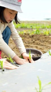 ＼初植え体験から2ヶ月半でこんなに大きく／5月3-4日に行われた初植え体験🌽あの時のとうもろこしたちが成長しています。今年のハマラハウスは7月18日にオープン！是非、遊びに来てくださいね✨◼︎ハマラハウス2026営業日程7月18日（土）-9月末8:30-14:00 OPEN 定休日火曜◼︎収穫体験7月25日-9月6日手染めロゴ入りオリジナルエコバッグなどスペシャル特典多数！予約はハイライトをチェック✔︎📍アクセス長野県・八ヶ岳エコーライン沿い≪八ヶ岳生とうもろこし≫生で食べて美味しい  メロンより甘いとうもろこし日本ギフト大賞・信州ブランドアワードなど受賞歴多数#ハマラノーエン #八ヶ岳生とうもろこし #ハマラハウス2026 #初植え #八ヶ岳