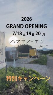 -2026-＼グランドオープン記念！4つの特別特典／2026年度トウモロコシdressing発売開始記念として🌽18日（土）初日限定！【ハマラトウモロコシdressing1本プレゼント！】先着50名様！※八ヶ岳生とうもろこし10本箱購入のお客様🌽19日（日）・20日（月祝）各日、先着50名様！【特別価格にて販売】とうもろこし10本箱が通常4,400円（税込）▶︎特別価格4,000円（税込）※おひとり様1箱のみとなります。👬ハマラメンバーズ受取予約のみなさま限定！3日間とも、1本トウモロコシdressingプレゼント！☕️FFC（ハマラカフェ）インスタフォロワーさま限定で100円OFF！@ffc_hamara 先週のプレオープンにお越しくださいましたみなさま本当にありがとうございます。とうもろこしのご用意が間に合わず、本当にごめんなさい。みなさんの残念そうな姿を見送りながら、「今一度、心から喜んでもらいたい」という強い想いで、このグランドオープンへの準備を重ねてまいりました。そんな、ずっと待っていてくださったみなさまへ。感謝の気持ちを込めて、【特別な3日間】をご用意しました。動画は、昨年のオープン初日の朝6時頃の準備の様子です。最初のとうもろこしを贈り出す段階。わたしたちは、たくさんの想いをのせて、開園の狼煙をたてました。そして、今年の夏。また、たくさんの「特別な美味しい」を届けたい。グランドオープンまで、残り3日。みなさまのご来園をハマラノーエン一同心よりお待ちしております。#ハマラノーエン #ハマラハウス #八ヶ岳生とうもろこし #ハマラカフェ#八ヶ岳