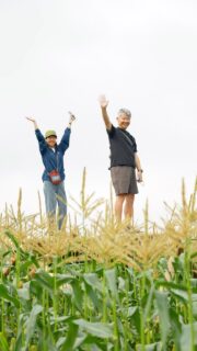 \ハマラハウス2026オープン/“八ヶ岳生とうもろこし”いよいよ解禁しました!◼︎心より御礼申し上げます初日から多くのお客様にお越しいただき「楽しみにしていた」と言ってくださって感無量でした✨まずは心より御礼申し上げます。そしてオープン早々にとうもろこしは完売…!ご購入いただけなかったお客さま、申し訳ありません🙇♀️9月末までとうもろこしは収穫できる予定でいますので、是非懲りずに足を運んでいただけますと嬉しいです🙇♀️◼︎ハマラカフェFFC焼きとうもろこしや冷やしとうもろこしカレーやスペシャルティコーヒーなどが楽しめます。とうもろこしは全てその日の採れたてです✨7/18-20 アカウントフォローで100円OFF!@ffc_hamara ◼︎丸太のステージハマラハウスに隣接する畑に大小2つの丸太のステージが隠れています🪵とうもろこし畑が見下ろせてとても気持ちが良いです。写真を撮って思い出作りにご活用くださいね✨(登る際は必ず注意事項をまもり安全にご利用ください)長野県 八ヶ岳の麓にお住まいの方、お越しの方は是非ハマラノーエンへ✨≪八ヶ岳生とうもろこし≫生で食べて美味しい メロンより甘いとうもろこし日本ギフト大賞・信州ブランドアワードなど受賞歴多数#ハマラノーエン #八ヶ岳生とうもろこし #ハマラハウス2026オープン#丸太のステージ#FFCカフェ
