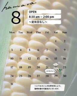 8月営業カレンダー

7月にご来園いただいたみなさま、本当にありがとうございました！

いよいよメインシーズンの8月がスタートします。
8月は定休日なしで営業いたしますが、とうもろこしの生育状況や天候等により臨時休業となる場合がございます。

最新情報は事前にInstagramをチェックのうえご来園ください。

────────────

⚫︎8月の営業について
営業日： 無休（※臨時休業あり）  
営業時間：8:30-14:00
備考： 最新の営業状況・当日のお知らせは、公式Instagramをご確認ください。

────────────

＼8月トピックス／

8/22（土）ハマラナイト開催！
詳細は決まり次第発表いたしますので、どうぞお楽しみに！

────────────

#ハマラノーエン
#ハマラハウス
#八ヶ岳生とうもろこし
