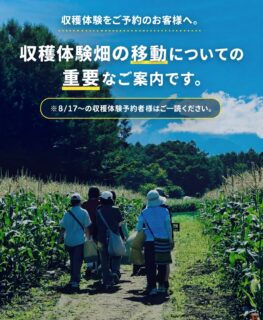 【収穫体験の畑変更についてのお知らせ】
いつもハマラノーエンをご利用いただき、ありがとうございます。
また、収穫体験をご予約いただき、心より感謝申し上げます。
猛暑によるとうもろこしの生育状況の影響により、8月17日以降の収穫体験は、予定していた畑とは別の畑で実施いたします。
ご予約のお客様にはご不便をおかけいたしますが、より良い状態のとうもろこしを楽しんでいただくための変更となります。
ご理解とご協力のほど、よろしくお願いいたします。
🌽 当日の流れ
① ハマラハウス直売店で受付
ご予約時間に合わせて、まずハマラハウスへお越しください。
※ 9時スタートの方は、8時50分までに、
※ 10時半スタートの方は、10時20分までに、
受付にお越しください。
↓
② スタッフの車について畑へ移動
受付後、スタッフの車が収穫体験の畑まで先導します。
お客様ご自身のお車で、スタッフの車の後ろについてお越しください。
↓
③ 収穫体験スタート!
畑に到着したら、とうもろこしの収穫体験をお楽しみください。
🚗 ご予約時間に遅れてしまう場合
お時間に間に合わない場合は、ハマラハウスでの受付をせず、直接収穫体験の畑へお越しください。
https://maps.app.goo.gl/nMTeWWg6chQcxDAk9?g_st=il
こちらのGoogle マップの場所へお越しください。
道に迷われた場合などは、お気軽にハマラハウスまでお問い合わせください。
当日は少し移動のお手間をおかけしますが、皆さまに楽しんでいただけるよう準備してお待ちしております。
どうぞお気をつけてお越しください。