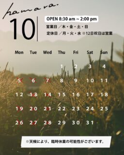 10月営業カレンダー
雨の日が多かった9月ですが、今日は久しぶりに晴れて
穏やかな一日となりました。
いよいよ今年のとうもろこしも、今週末で食べ納め。
そして翌週からは、木曜〜日曜の営業となります。
@ffc_hamara を中心に、
とうもろこしフードをお楽しみいただけます。
引き続き、
コーンポタージュスープやドレッシング、
地元のお野菜、お菓子、物販などもご用意しています。
とうもろこしの季節を終えて、
ゆったりと深まっていく八ヶ岳の秋をお楽しみください。
※天候により、臨時休業や時短営業となる場合がございます。
最新情報は事前にInstagramをご確認のうえ、ご来園ください。
#ハマラノーエン
#ハマラハウス
#八ヶ岳秋とうもろこし
#FFC
#八ヶ岳カフェ